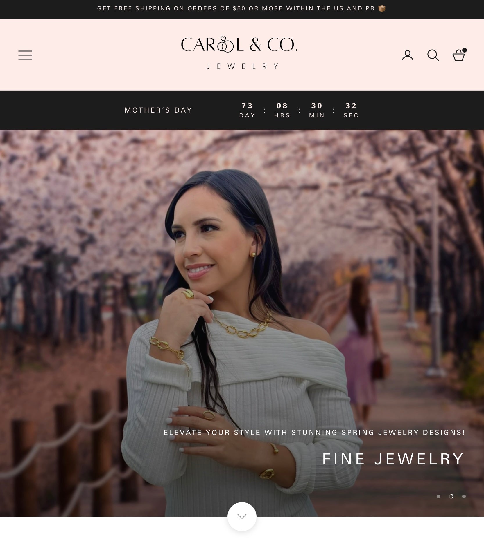 WEB PAGE DEVELOPMENT (SHOPIFY) - Carol & Co Jewelry