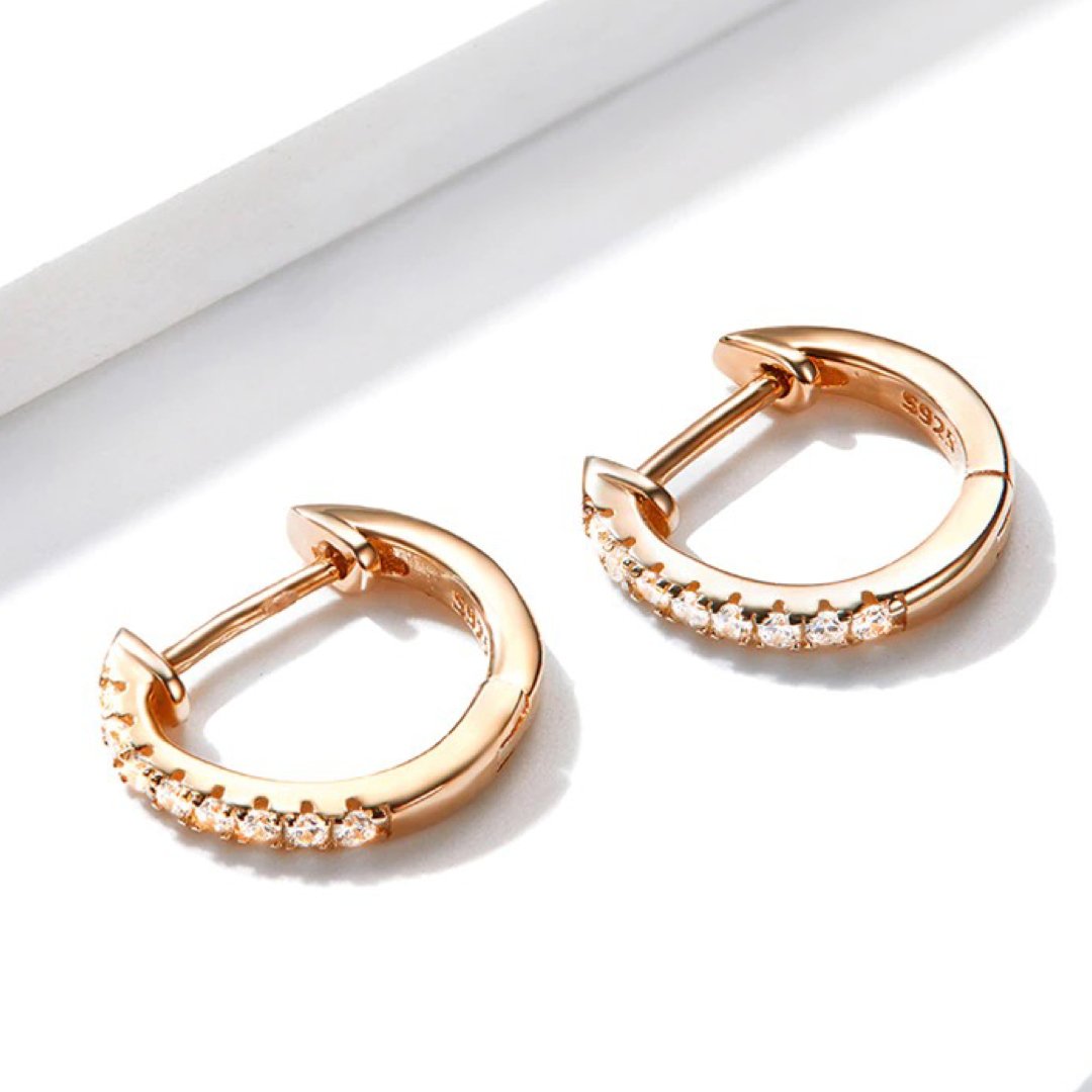 ZIRCONIA SILVER 925 HOOP EARRINGS - Carol & Co Jewelry