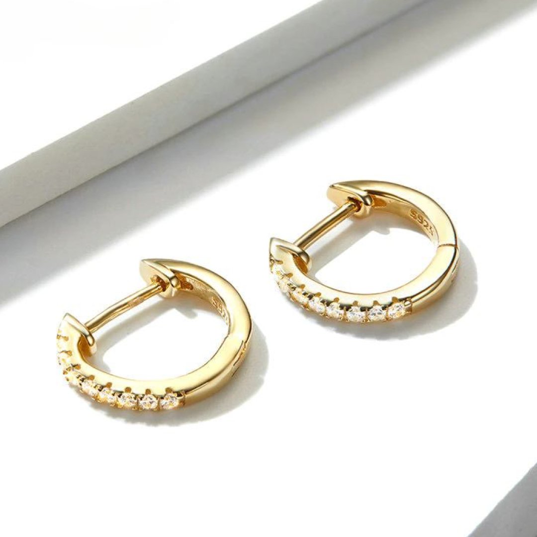 ZIRCONIA SILVER 925 HOOP EARRINGS - Carol & Co Jewelry
